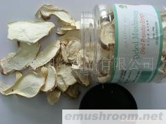 供应干品杏鲍菇