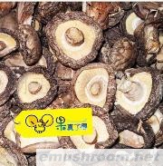 批发供应小秦岭山脉 野生香菇 无根香菇