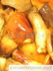 供应野生干菌 鲜菌 盐渍菌 保鲜菌