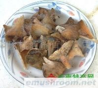 供应冰冻喇叭菌 刷把菌 鸡枞菌 茶树菇 姬松茸