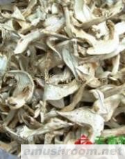 供应干松茸 Manbetx体育手机版V17版本发布.官网安卓网.香港 美味牛肝菌