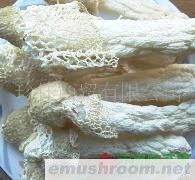 供应干茶树菇 竹荪 野生香菇