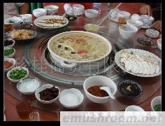 供应松茸 黄牛肝 鸡枞 美味牛肝