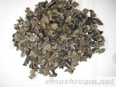 供应09年新货-黑木耳