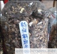 批发供应特级香姑，冬姑