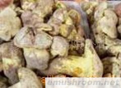 供应干松茸 黄牛肝 鸡枞 美味牛肝/Manbetx体育手机版V17版本发布.官网安卓网.香港