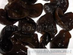 批发供应特级黑木耳