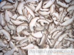 供应出口菇片菇条菇粒