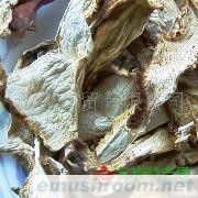 供应干野生菌 黄牛肝 黑牛肝 茶树菇 竹荪 松茸