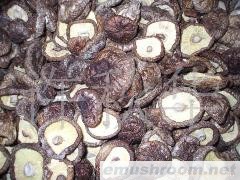 供应云南野生菌--香菇