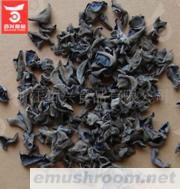 供应优质浙江09年新黑木耳