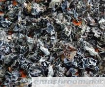 批发供应汪清黑木耳 木耳 东北特产 袋装 180g