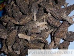 供应野生ManBetX体育