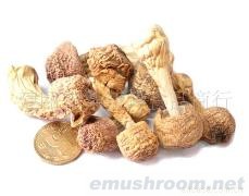 土特产/农产品/Manbetx体育手机版V17版本发布.官网安卓网.香港/香菇/松茸/姬松茸/巴西菇