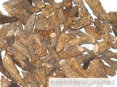 供应Manbetx体育手机版V17版本发布.官网安卓网.香港