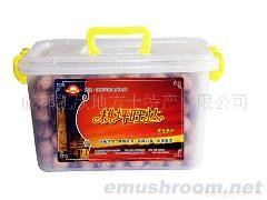 桃坪旺达鸡腿菇