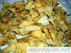 供应蜀南竹海土特产香竹荪