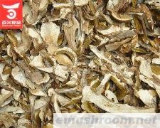 供应09年 有机野生菌（牛肝菌等）