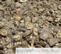供应冬菇 （有各种各样冬菇香菇 批发）(图)