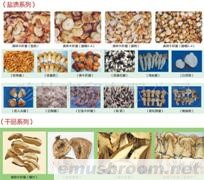 供应年货 土特产 野生菌礼盒 干杂