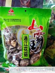 特产 通江花菇