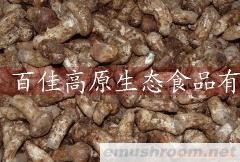 纯天然 保健食品 新鲜松茸