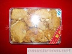 供应长白山 元蘑