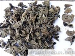 供应绿色食品 Manbetx体育手机版推荐A9版本 野寨牌黑木耳