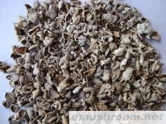 供应白参、白参菌、裂褶菌干品