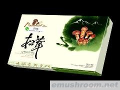 西藏土特产 野生菌干片 松茸干片 精美礼品盒