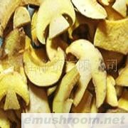 供应云南特产 野生菌 礼盒 黄牛肝菌