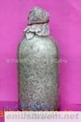 供应优质竹荪菌种(图)