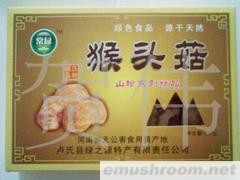 无公害产品----河南卢氏伏牛山野生特级猴头菇