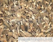 供应云南野生菌 Manbetx体育手机版推荐A9版本 鸡枞菌 块菌