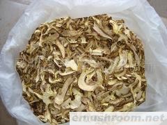 批发云南野生菌白葱菌,牛肝菌