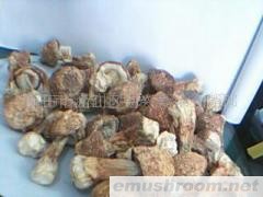 供应松茸