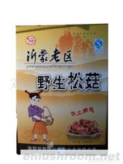 供应沂蒙老区特产 金蝉  松菇