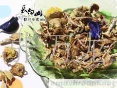 供应野生小黄蘑 特产第一鲜(图)