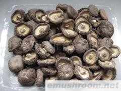 供应有机香菇(有机灰树花)