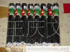 供应黑木耳菌种