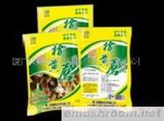 供应大兴安岭榆黄蘑