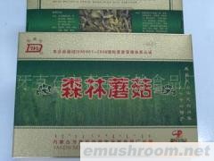 供应野生森林蘑菇