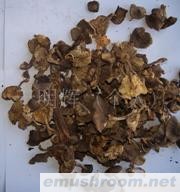 批发供应野生灰蘑菇