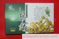 供应野生小黄蘑