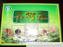 无公害产品----河南卢氏伏牛山野生特级茶树菇
