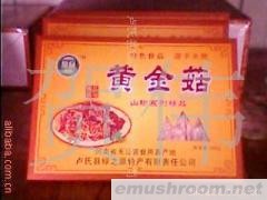 无公害产品----河南卢氏伏牛山野生特级黄金菇