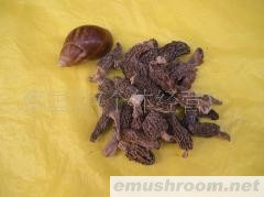 供应大量批发Manbetx体育手机版V17版本发布.官网安卓网.香港