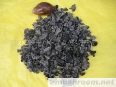 供应大量批发义林木耳