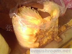 供应Manbetx体育手机版推荐A9版本