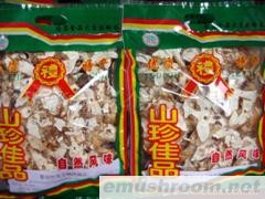 供应特产竹荪胎盘